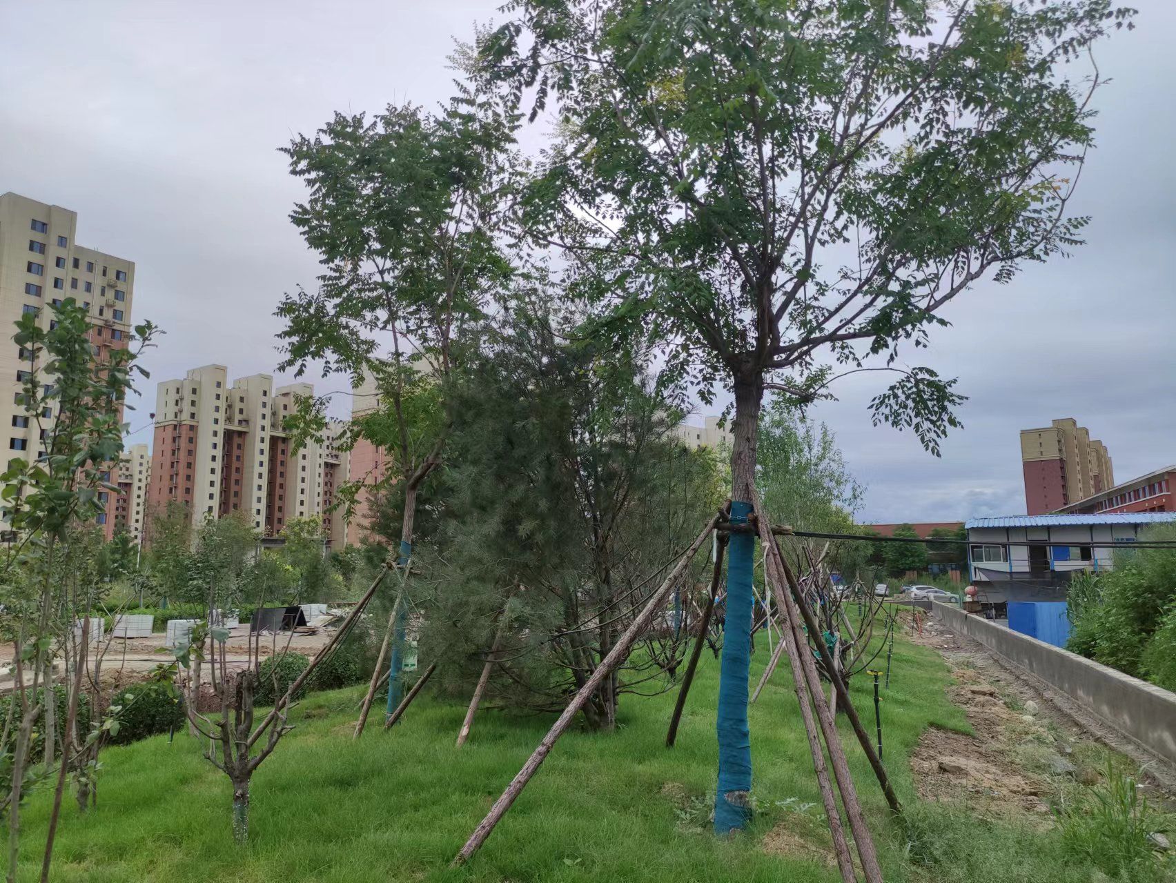 阜平县阜东新区社区公园
