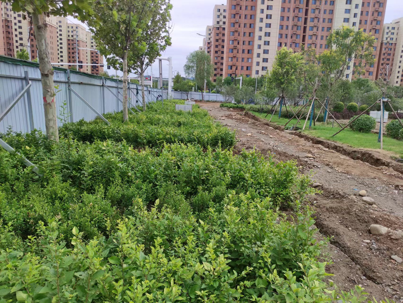 阜平县阜东新区社区公园